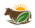 dlaawi logo
