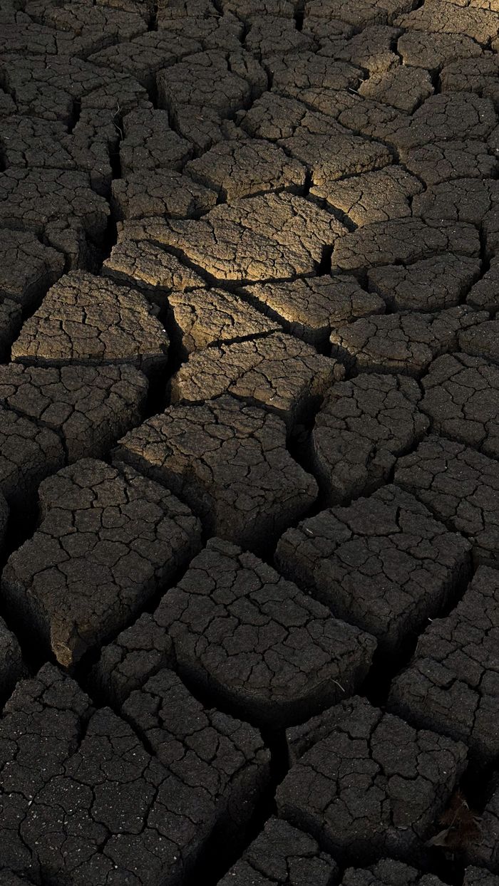 Detailed texture of cracked dry earth, illustrating drought conditions and climate change.